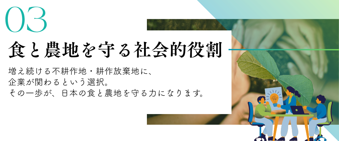 農業研修-フィルバ