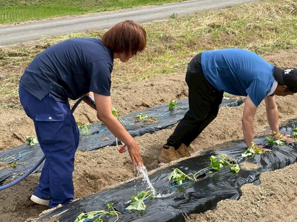 株式会社スリーエス様 フィルバプロジェクト 社員の皆さんによる植え付け