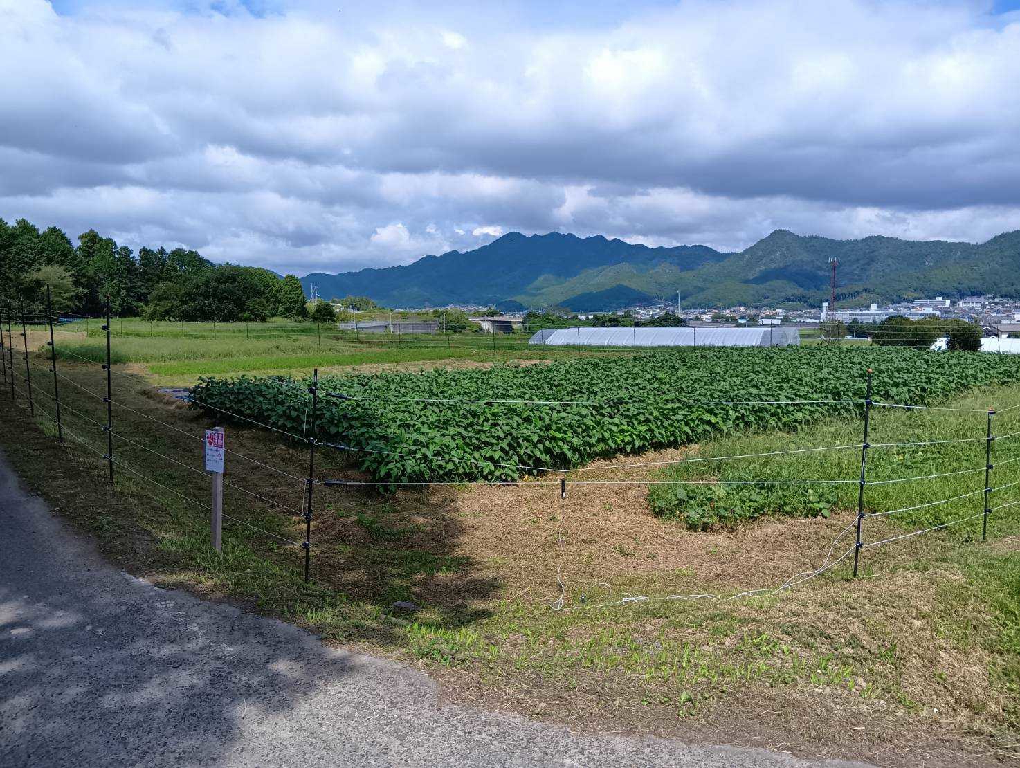 株式会社スリーエス様 フィルバプロジェクト 山々に囲まれた農場