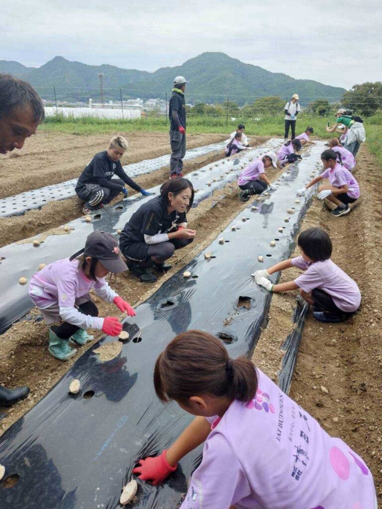 株式会社スリーエス様 フィルバプロジェクト